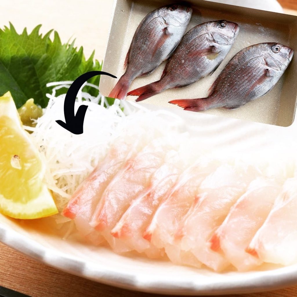 Kimoto Gastro Bar promotional image highlighting fresh sea bream sashimi.