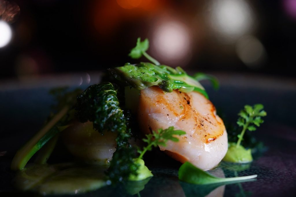Close-up of a seared scallop dish with green garnishes